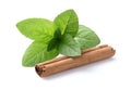 Mint with cannelle Royalty Free Stock Photo