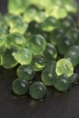 Mint caviar, molecular gastronomy Royalty Free Stock Photo