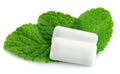 Mint with chewing gum Royalty Free Stock Photo
