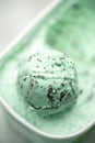 Mint Choc Chip Ice Cream Royalty Free Stock Photo