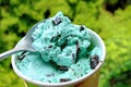 Mint Choc Chip Ice Cream Scooping with Spoon Against Blurry Green Foliage in the Backdrop Royalty Free Stock Photo