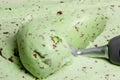 Mint Chocolate Chip Ice Cream Royalty Free Stock Photo