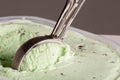 Mint chocolate chip ice cream being scooped up for a cone