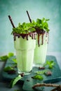 Mint chocolate milkshake Royalty Free Stock Photo