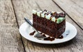 Mint choholate cake Royalty Free Stock Photo