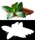 Mint and cinnamon, clipping paths Royalty Free Stock Photo