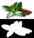 Mint and cinnamon, clipping paths Royalty Free Stock Photo