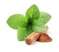 Mint with cinnamon Royalty Free Stock Photo