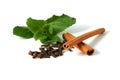 Mint cloves and cinnamon Royalty Free Stock Photo