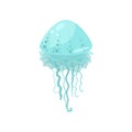 Mint colorful jellyfish, underwater ocean cute creature