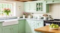 Mint cottage kitchen interior design, home decor and house improvement, English in frame kitchen cabinets in a country house