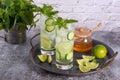 Mint Cucumber Gimlet