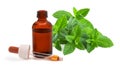 Mint with essence bottle Royalty Free Stock Photo