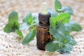 Mint essential oil