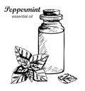 Mint essential oil bottle. Fragrant herbs. Great for label, packaging.