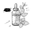 Mint essential oil bottle and peppermint leaves hand drawn vector illustration. Isolated plant drawing for Aromatherapy