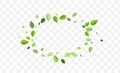 Mint Foliage Vector Concept. Green Leaf Wind