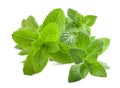 Mint Royalty Free Stock Photo