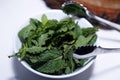 Mint in glass jar