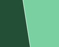 Mint green and dark green plain color background