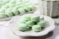 mint green macarons on white porcelain dish