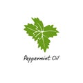 Mint green vector illustration. Hand drawn peppermint logo. Peppermint oil for cosmetic design