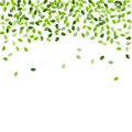 Mint Greens Flying Vector Background. Motion Leaf