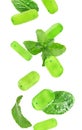 Mint hard candies and green leaves falling on white background