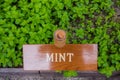 Mint herb board