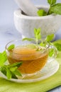 Mint Herbal Tea