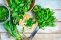 Mint herbs and Culantro herbs for health on wooden table Royalty Free Stock Photo