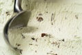 Mint ice cream with chocolate chips scooped Royalty Free Stock Photo