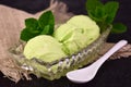 Mint ice cream. Close-up. Refreshing dessert. Royalty Free Stock Photo