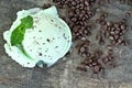 Mint Ice Cream Scoop and Chocolate Chips