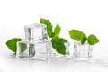 mint and ice cubes on white background