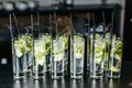 Mint ice and lime in the glasses. With the tubes. Royalty Free Stock Photo