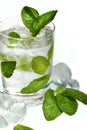 Mint ice vodka Royalty Free Stock Photo