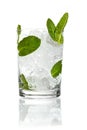 Mint ice vodka Royalty Free Stock Photo