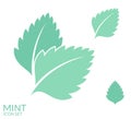 Mint. Icon set. leaves on white background