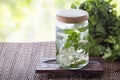 Mint Infuse Water Royalty Free Stock Photo