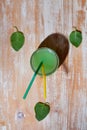 mint juice on wooden table Royalty Free Stock Photo