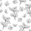 Mint leaf black and white seamless pattern. Herb outline vector illustration. Simple Botanical background.