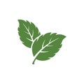 mint leaf element vector icon. green mint leaves vector symbol