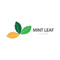 mint leaf illustration logo vector design