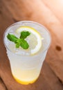 Mint leaf on italian lemon soda Royalty Free Stock Photo