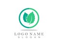 Mint leaf logo and symbol vector.