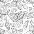 Mint leaf pattern. Peppermint leaves sketch vector background for tea wrapping paper