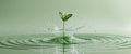 Mint Leaf Splashing in Water Creating Fresh Ripples and Droplets on Light Green Background Royalty Free Stock Photo