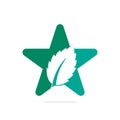 Mint leaf star shape concept logo. Royalty Free Stock Photo