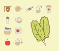 Mint leafs and bundle of tea set fill style icons